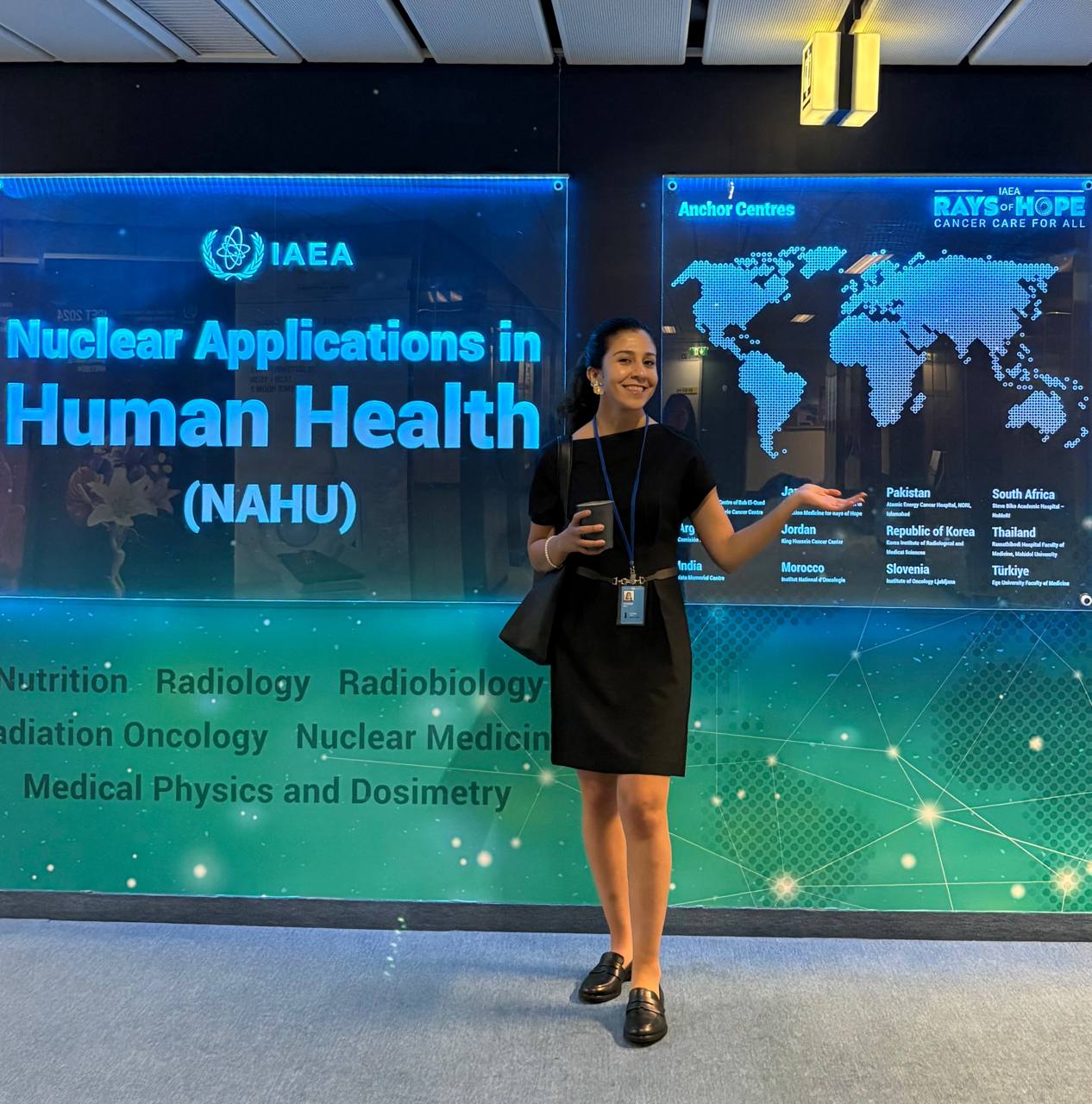 IAEA internship, Vienna